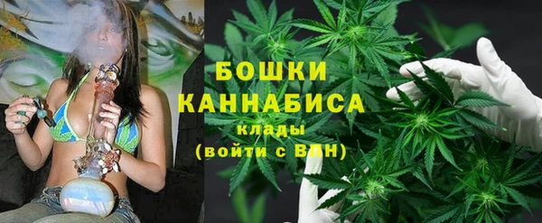 ГАЛЛЮЦИНОГЕННЫЕ ГРИБЫ Алексеевка