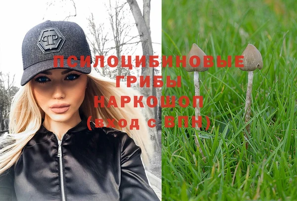 ГАЛЛЮЦИНОГЕННЫЕ ГРИБЫ Алексеевка