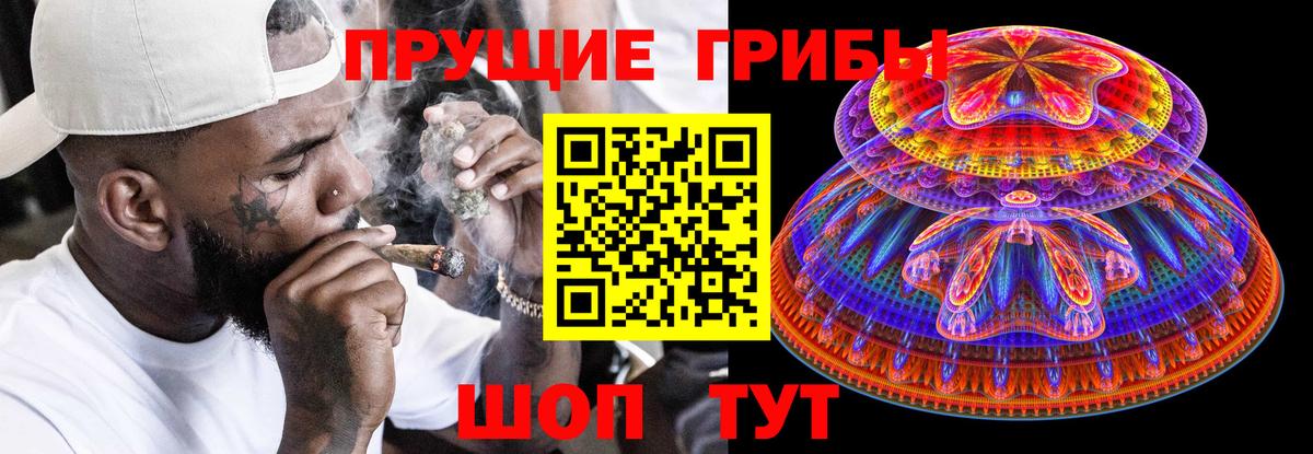 Псилоцибиновые грибы Cubensis Невинномысск