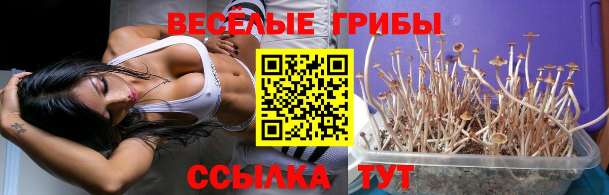 Невинномысск  Псилоцибиновые грибы GOLDEN TEACHER  Вход с VPN  Галлюциногенные грибы MAGIC MUSHROOMS 